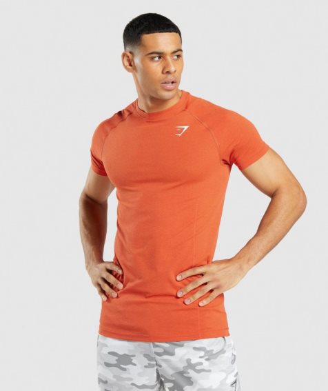 Camiseta Gymshark Vital Light Seamless Hombre Naranjas | MX 687IPG